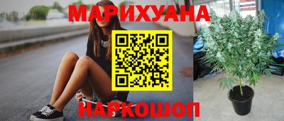 круглые Новодвинск