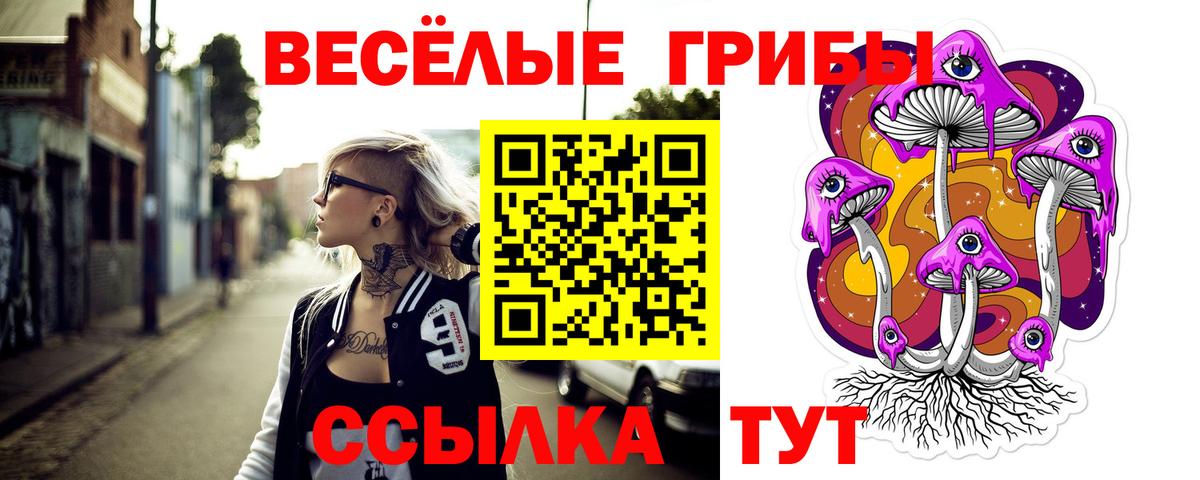 Псилоцибиновые грибы мицелий Топки