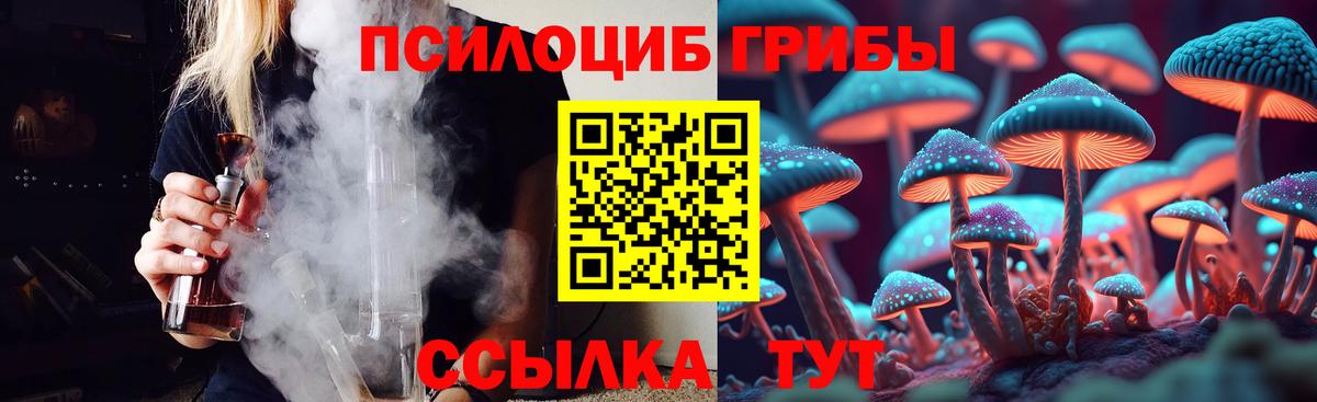 Топки  Псилоцибиновые грибы мухоморы  Вход с VPN 